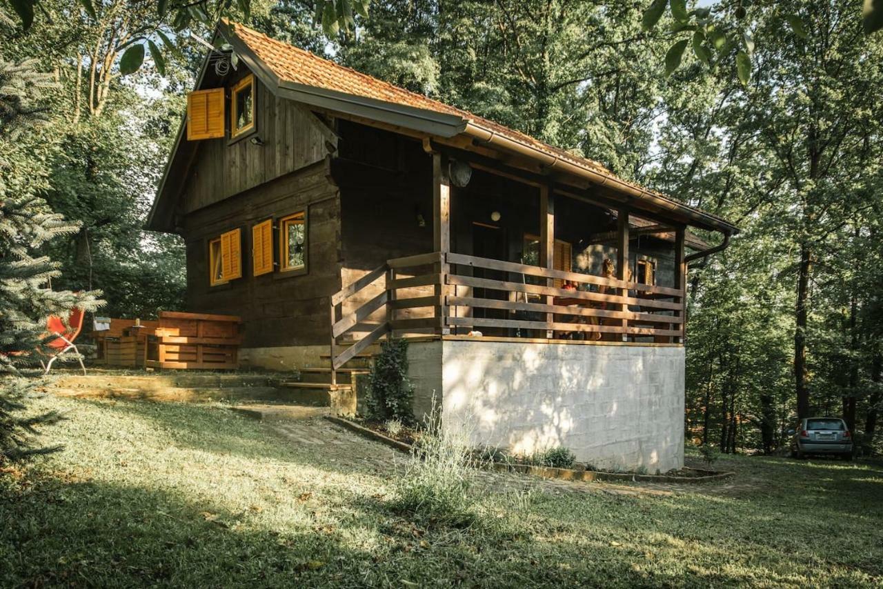 Wooden House Near The River Kupa Kamanje Luaran gambar